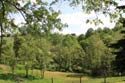 Ridge View Outside