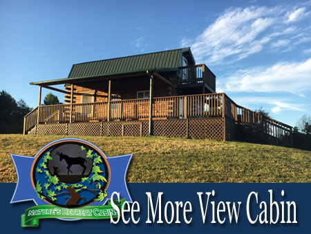 See More View Cabin